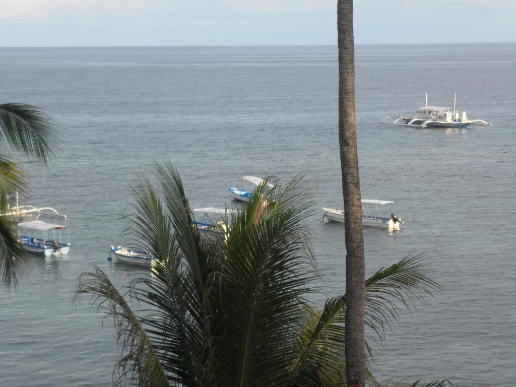 Hayahay Resort Panglao City Exterior foto
